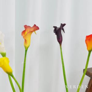 재팬카라 가지조화 60cm 5color