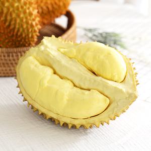 반쪽 두리안 모형 1P