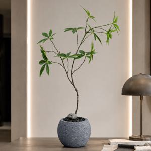 파키라 조화 블랙스톤 대형 화분 set 40x69cm 조경 테이블 장식 소품