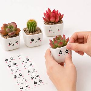 3개 세트 미니 다육이 꾸미기 세트 DIY 키트 다육식물 키우기 랜덤 패키지