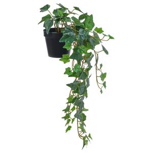 페이카 조화 인조식물 걸이형 아이비 (화분지름:12cm)