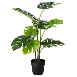 페이카 조화 인조식물 몬스테라 (화분지름:19cm)