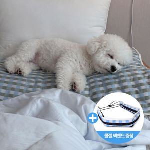 냉감 쿨매트 쿨젤 유아인증 여름 반려견매트 롱쿠션 베개패드 바디필로우 오싹 아이스 쿨젤
