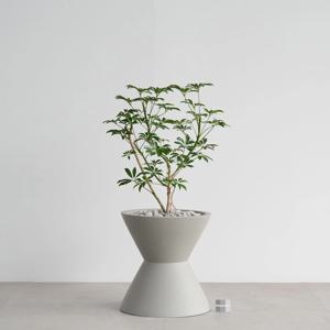 다간형 홍콩야자나무 MG-2 그레이 화분 집들이선물 거실 인테리어 공기정화식