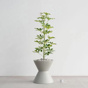 무늬 홍콩야자나무 MG-2 그레이 인테리어화분 거실식물