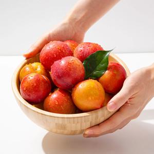 과즙가득 햇 자두 소과 1kg (14과 내외)
