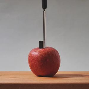 애플코러(Apple corer)