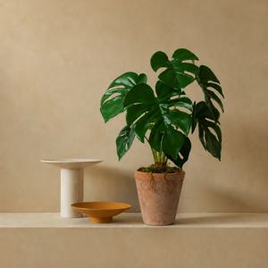 Still Green / 몬스테라 조화 빈티지 토분 화분 오브제