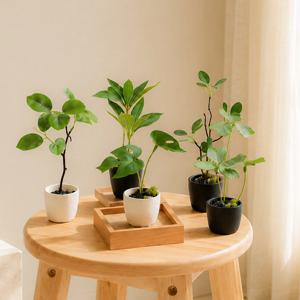인테리어 홈데코 카페 테이블 집들이 선물 화산석미니조화화분 2P/3P 세트