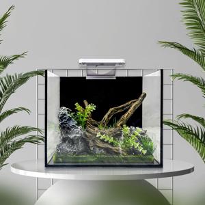 30슬림 30x20x25cm 5T 올디아망 어항세트 수초 인테리어어항 LED조명 포함
