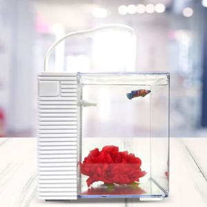 CT-23 일체형 어항 세트 (여과기+모터+어항 세트) 23x18.5x22.2cm