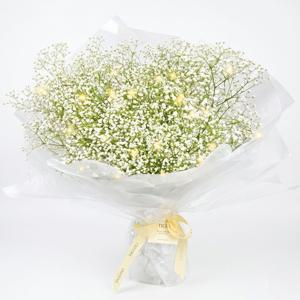 [보냉보온포장]안개꽃 생화 꽃다발(안전포장 화병꽂이 인테리어 꽃택배)