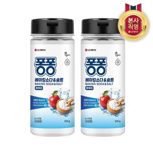 퐁퐁 베이킹소다&솔트 용기형 500gx2개