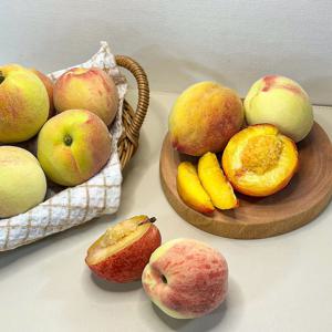 26년 청도 말랑이복숭아 황도/백도 1kg(6-7과) 외