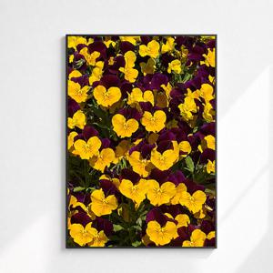 봄 유럽 꽃 그림 플라워 인테리어 포스터 액자 : 71 Purple & Gold