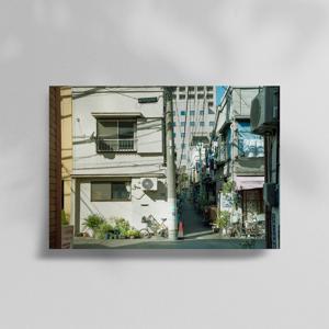 일본 여름 감성 포스터 금붕어 숲 하늘 전봇대 고양이 여행 11 골목산책