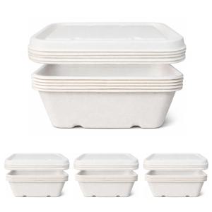 krm 펄프 종이용기 도시락 직사각형 750ml 20개