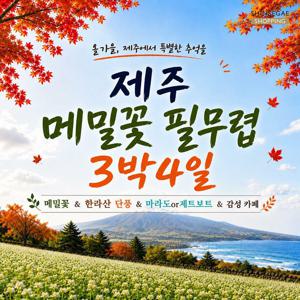 [*JS투어] 제주도 3박4일 19만9천원부터, 항공+호텔 3박+식사7회 포함!!
