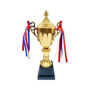 메탈 전기 도금 트로피, 일반 행사, 수상식, 이벤트 기반 칭찬, 댄스 및 연설 공연, 축구, 크리켓, 수영, 프로모션, 농구, 달리기, 테니스 및 기타 다양한 행사
