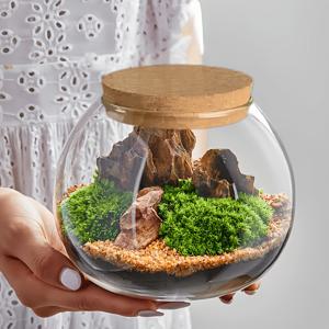 TEMU 코르크 마개가 있는 유리병 - 15cm 폭 타원형 장식용 병, DIY 미니어처 조경, 테라리움, 장식, 식물 전시, 테이블 중앙 장식용 - 재밀봉용 나무 뚜껑, 식물 미포함