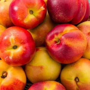 TEMU 여름을 알리는 달콤함! 경북 햇 천도복숭아 1kg (9과내외)