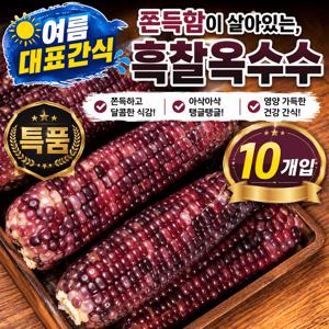 TEMU [여름대표간식] 쫀득함이 살아있는, 흑찰옥수수 특품 10개입