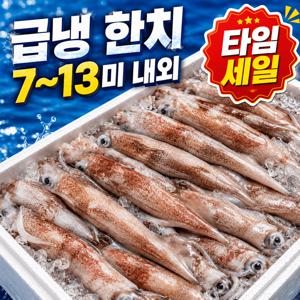 TEMU 쫀득한 한입 급냉 한치 500g 7~13미