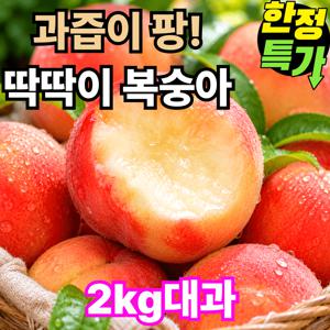 TEMU 아삭달콤 산지직송 딱딱이 복숭아 2kg 대과 10~11과