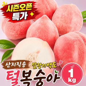 TEMU 과즙폭발 말랑이 백도복숭아(털복숭아) 1kg