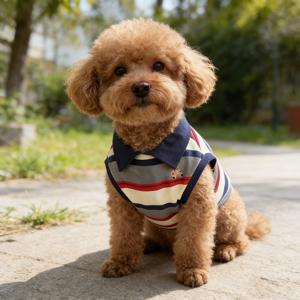 TEMU 강아지 폴로 칼라 귀여운 집에서 외출하기에 적합한 통기성 좋은 봄 여름 가을 착용