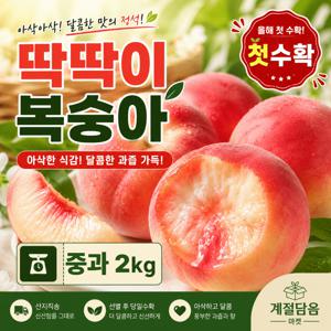 TEMU [50박스한정] 초고당도 딱딱이복숭아 2kg 중