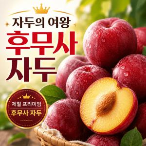 [하루99박스]새콤달콤 고당도 후무사자두2kg 중사이즈