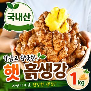 TEMU [국내산] 알굵고 향긋한 햇 흙생강 1kg