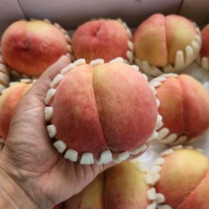 TEMU (산지직송/4kg)김형욱농부의 딱딱이복숭아 딱복 아삭이복숭아 정품 프리미엄 당도직접선별 영천/김천 복숭아 20과~26과 최대14BRIX