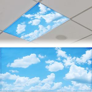 형광등 갓 1개, 61x122cm (4x2인치), 교실용 천장조명 갓, 눈부심 방지 빛 여과형 자석 램프쉐이드, 교실, 사무실, 병원, 가정, 할로윈용 - 차분한 구름