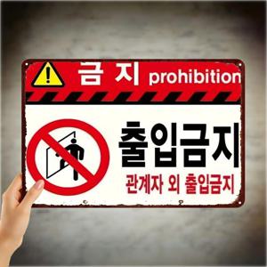 TEMU 2D 플랫 1개, 