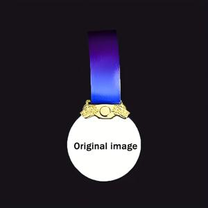 TEMU 맞춤형 메달 1개, 아연 합금 금색/은색/청동색 메탈 펜던트, DIY 1위, 2위, 3위 MVP 우승자, DIY 로고 맞춤 디자인 금메달 1위, 은메달 2위, 동메달 3위, 화려한 리본과 선물 상자 포장이 포함된 사진 액자 기념품 선물