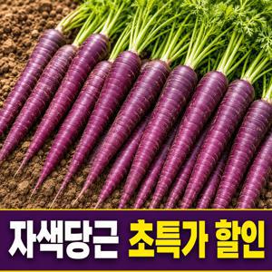 TEMU [오픈특가] 아삭달큰한 국내산 자색당근 1kg