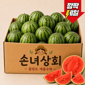 [단독특가] 꿀당도 애플수박 중대과 1개