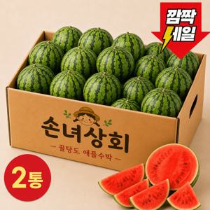 [단독특가] 꿀당도 애플수박 중대과 2개