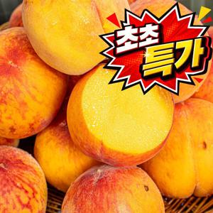 TEMU [하루50박스] 한입 가득 여름, 황도복숭아 1.5kg