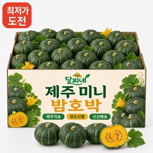 [오늘만초특가] 프리미엄 크리미 제주 미니 밤호박 로얄과 900g