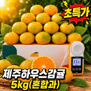 TEMU 고당도 제주 하우스 감귤 5kg(혼합과) 만다린 귤 하귤 청귤 제주 과일