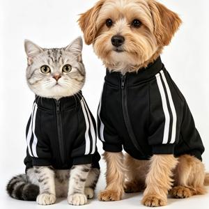 TEMU 가을 겨울 지퍼 펫 의류 강아지 스웨트셔츠 - 안감 재킷, 소형, 중형, 대형 반려동물용 귀여운 고양이와 강아지 의류