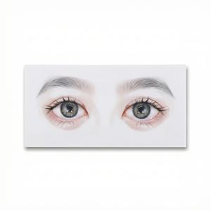 TEMU 속눈썹 연습용 카드 - 초보자 훈련용 시뮬레이션 더블 아이 모듈, 속눈썹 살롱 데모 및 연습 도구, 전문가용 속눈썹 훈련 키트: 시뮬레이션 더블 아이 패드, 초보자용 연습 카드, 속눈썹 살롱 데모 도구, 선물
