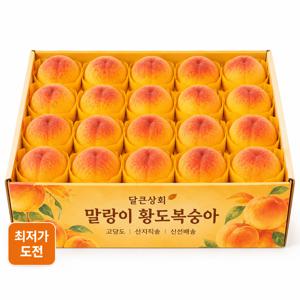 TEMU [산지직송] 말랑이 황도복숭아 850g(박스포함) 당도폭발 꼼꼼한 검수 프리미엄