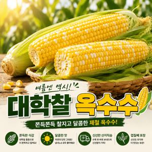 TEMU 대학찰옥수수 쫀득한 고당도 햇옥수수 10개