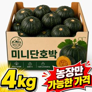 TEMU [7월재배] 제주도 미니단호박 프리미엄 미니밤호박