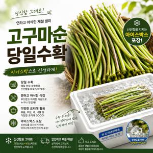TEMU 국내산 고구마순 고구마줄기 손질 제철 채소