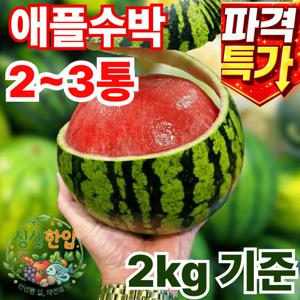 TEMU 산지직송 2kg기준[2~3통] 고당도 달콤아삭 애플수박 특품